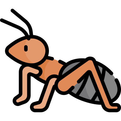 Home Pest Control Service in Kolkata Ant