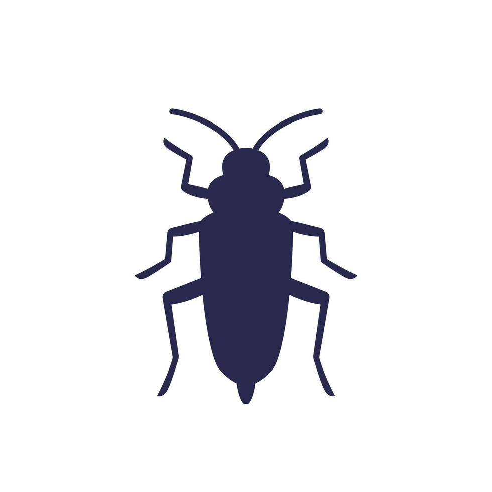 Home Pest Control service In kolkata Wood Borer