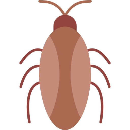 Home Pest Control service In kolkata Cockroch