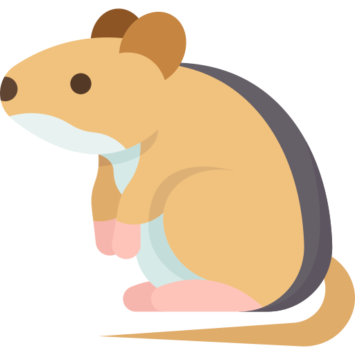 Home Pest Control service In kolkata Rodent