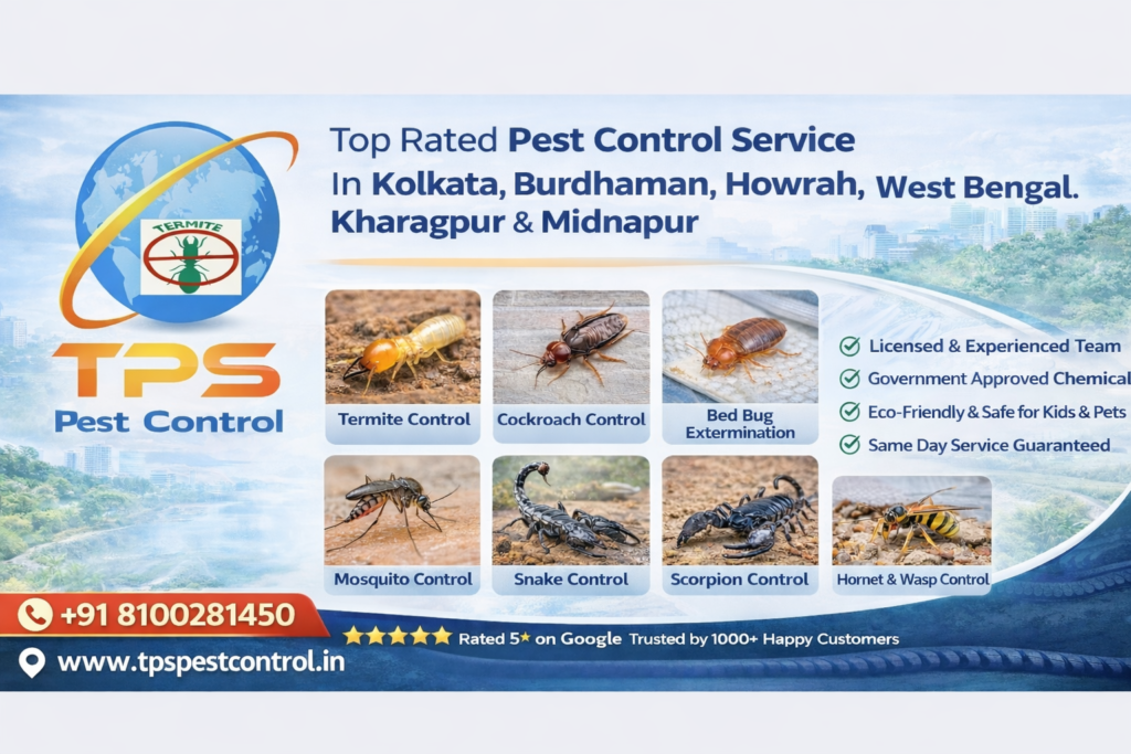 Files pest Service control near me