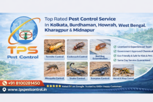 Files pest Service control near me