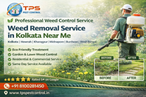 About Weed TPS Pest Control In Kolkata