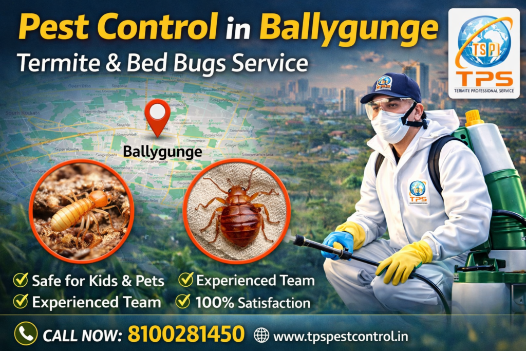 Pest Control In Ballygunge near me area