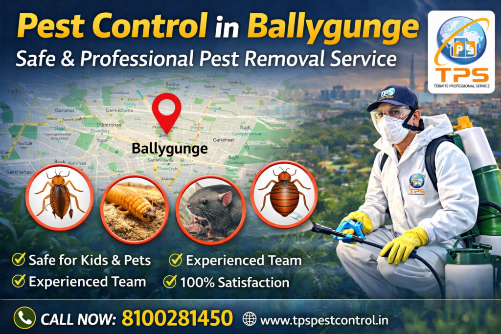 Pest Control In Ballygunge near me area