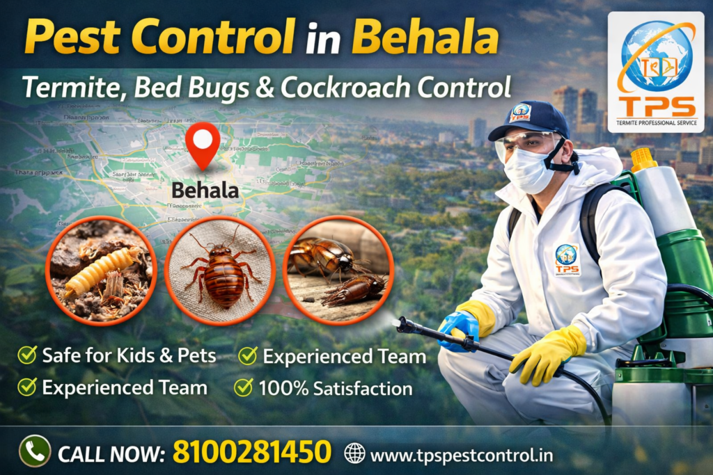 Pest Control In Behala General Pest Control
