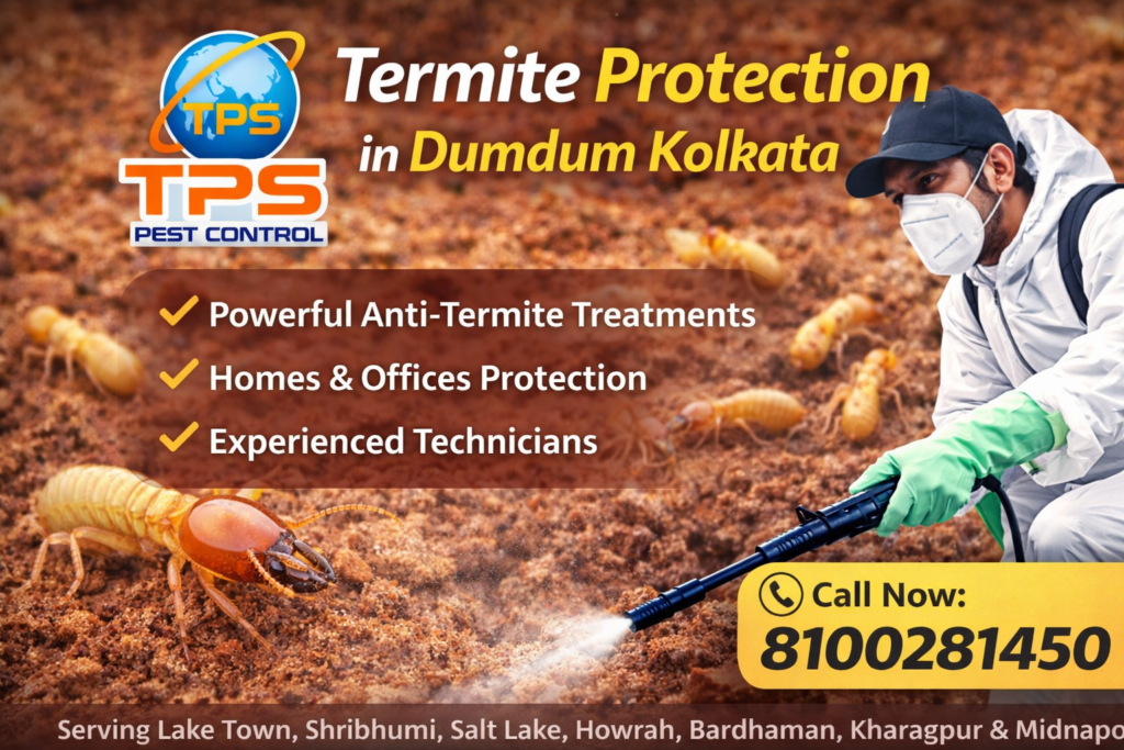 Pest Control in Dumdum Kolkata