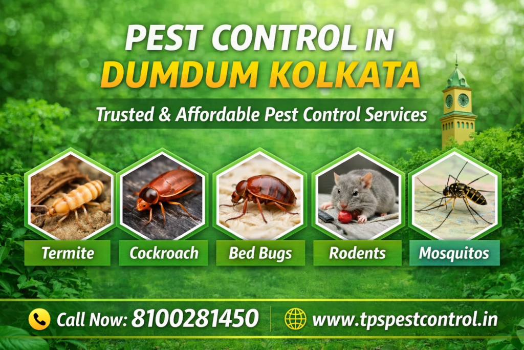 Pest Control in Dumdum Kolkata