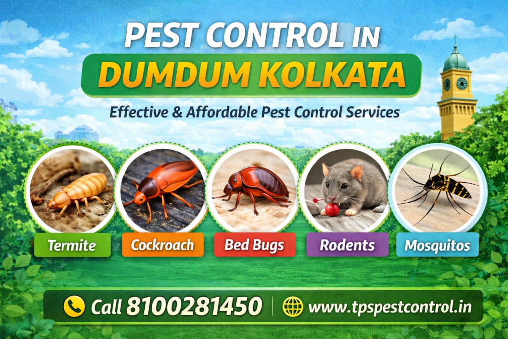 Pest control in Dumdum kolkata