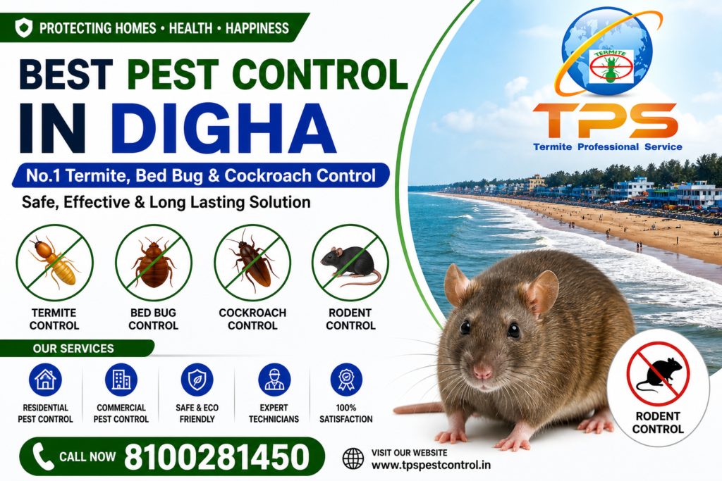 Best Pest Control in Digha