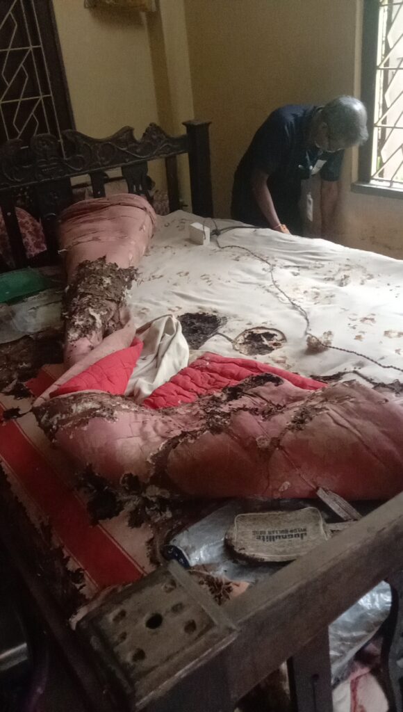 Termite Treatment Cost in Kolkata
