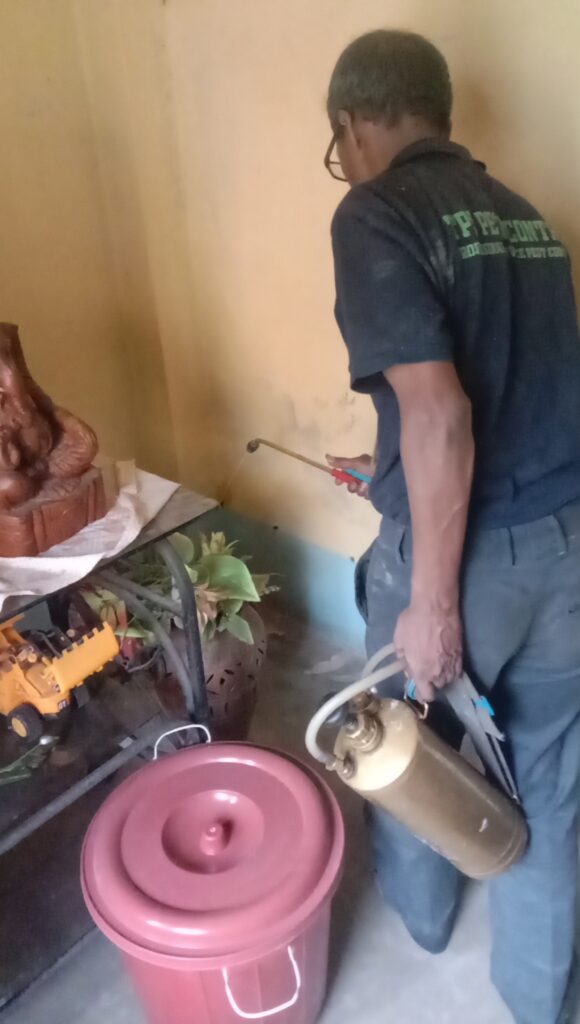 Termite Treatment Cost in Kolkata