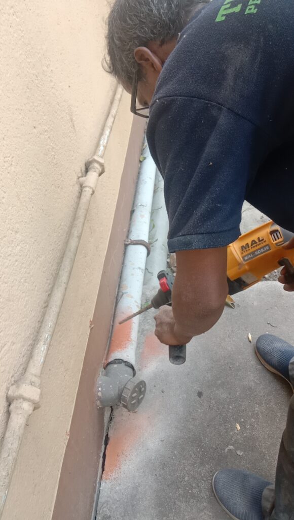 Termite Treatment Cost in Kolkata