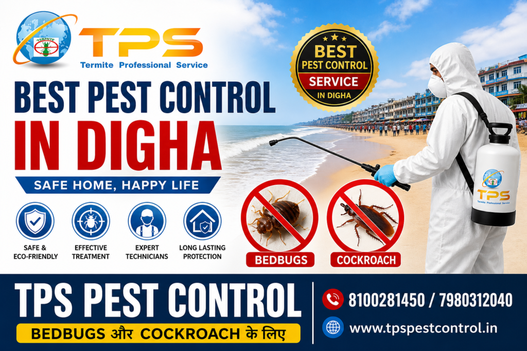 Best Pest Control in Digha